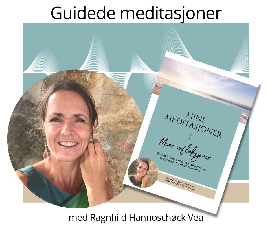 meditasjoner med Ragnhild Hannoschøck Vea